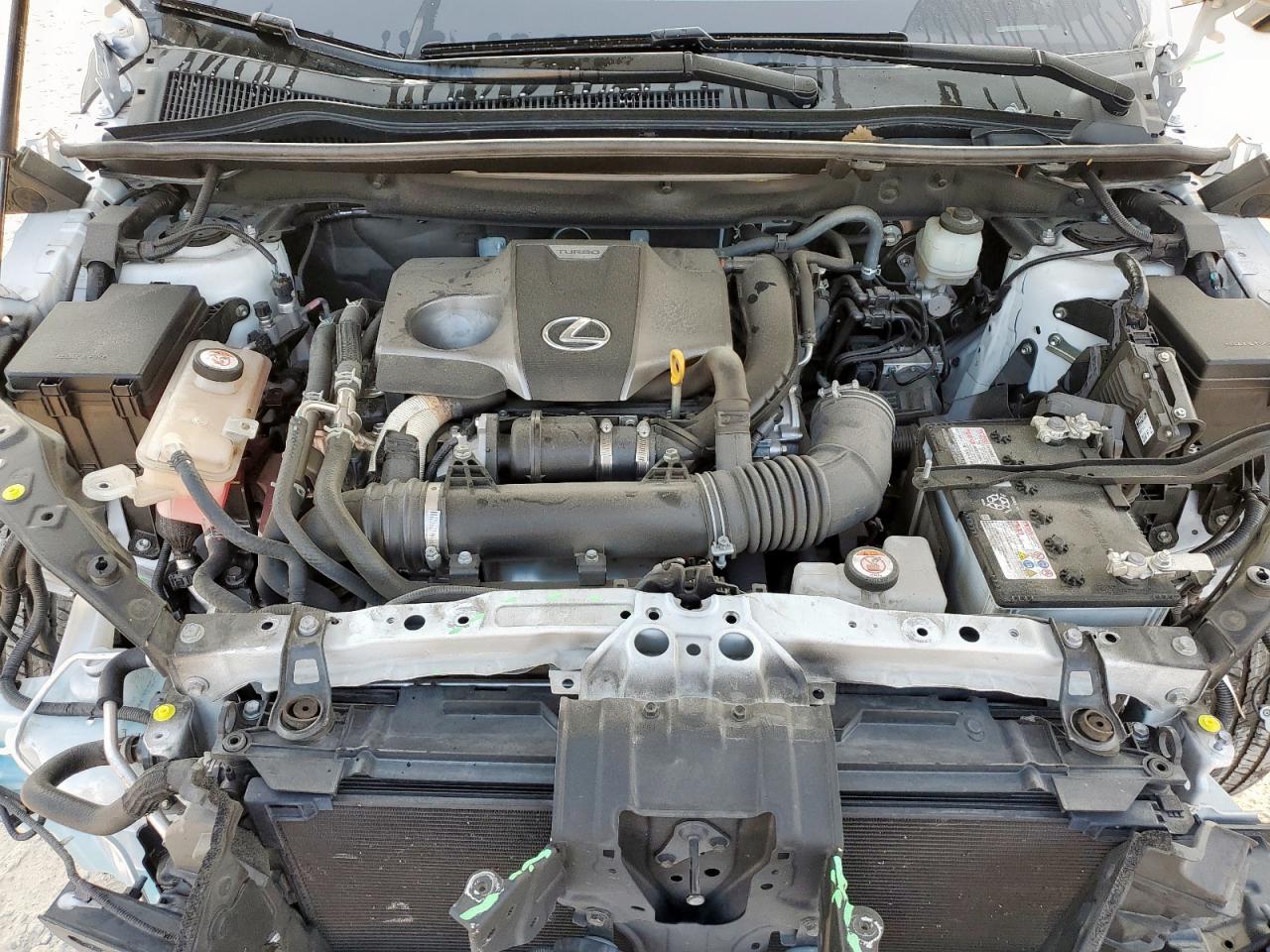 2021 Lexus Nx 300 Base VIN: JTJDARBZ3M5028265 Lot: 81124045