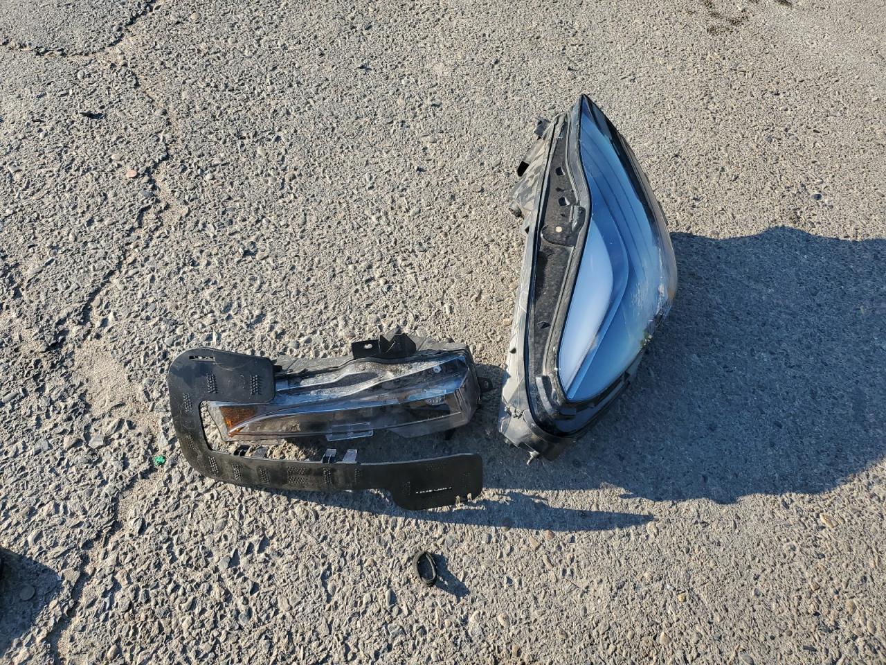 2023 Tesla Model Y VIN: 7SAYGDEE5PF862316 Lot: 81686415