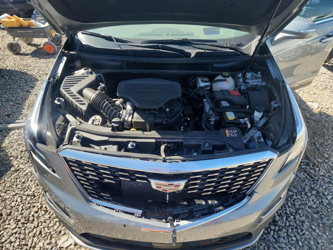 2024 Cadillac Xt5 Premium Luxury VIN: 1GYKNCRS3RZ703823 Lot: 81723175