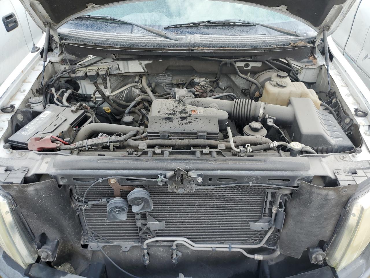 2010 Ford F150 VIN: 1FTMF1CW4AKA46457 Lot: 47969945