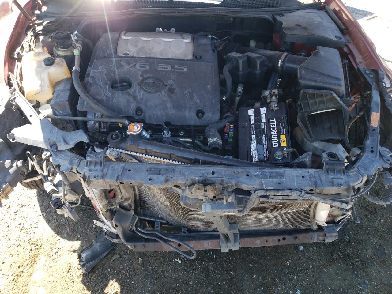 2007 Nissan Maxima Se VIN: 1N4BA41E97C824567 Lot: 71821755