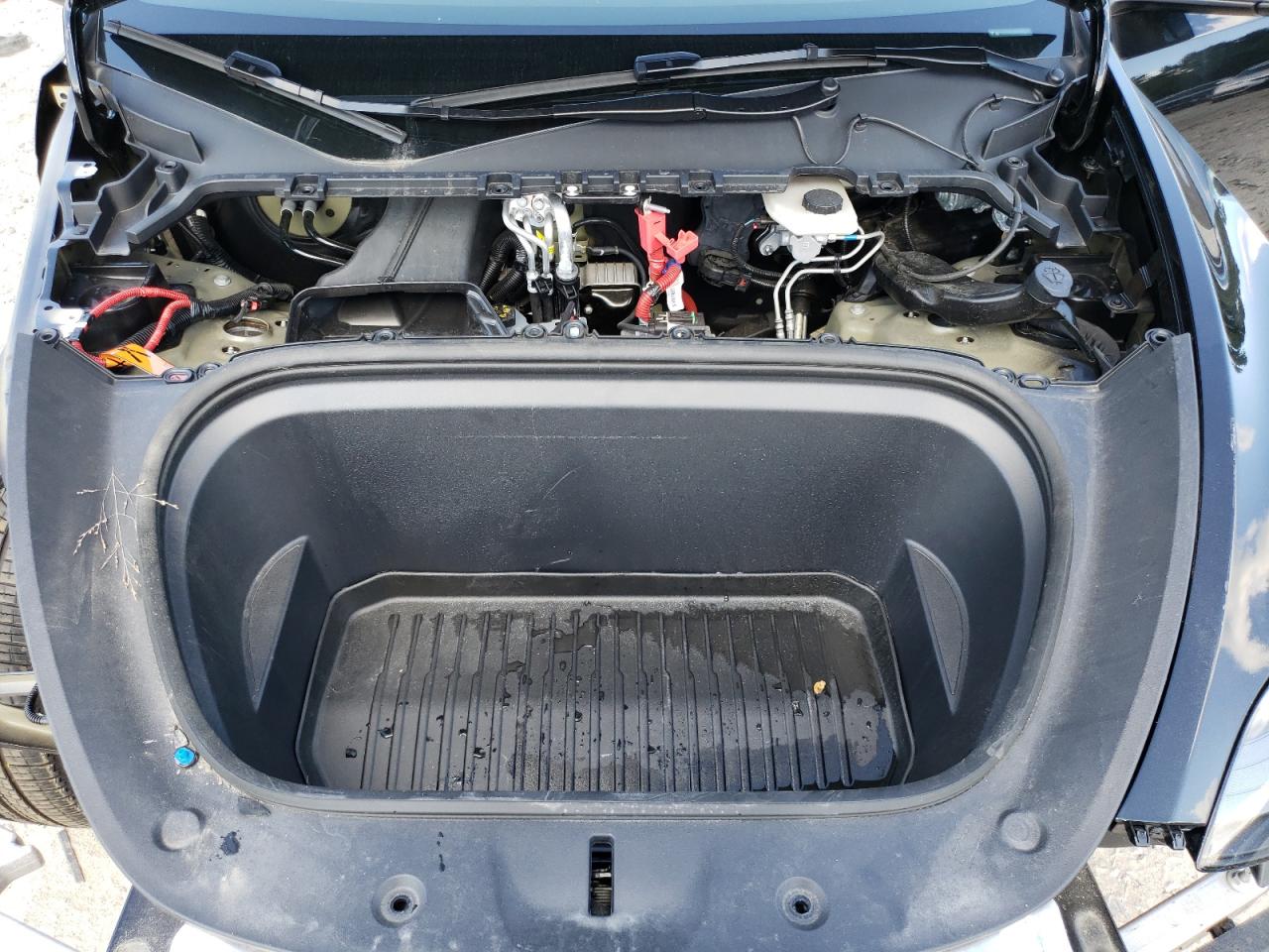 2024 Tesla Model Y VIN: 7SAYGDEE1RA301143 Lot: 72077425