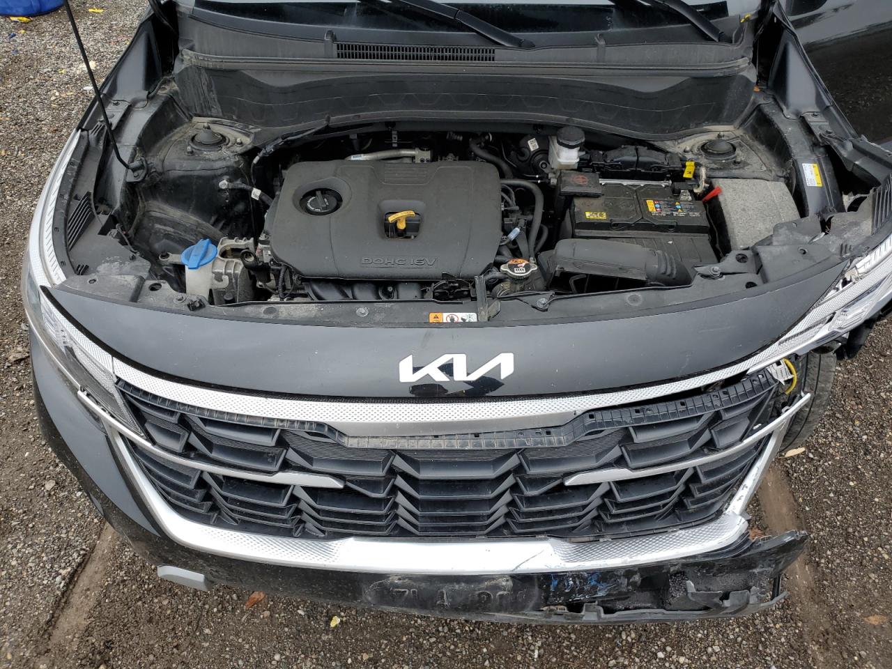 2024 Kia Seltos Lx VIN: KNDEP2AA3R7491172 Lot: 83951115