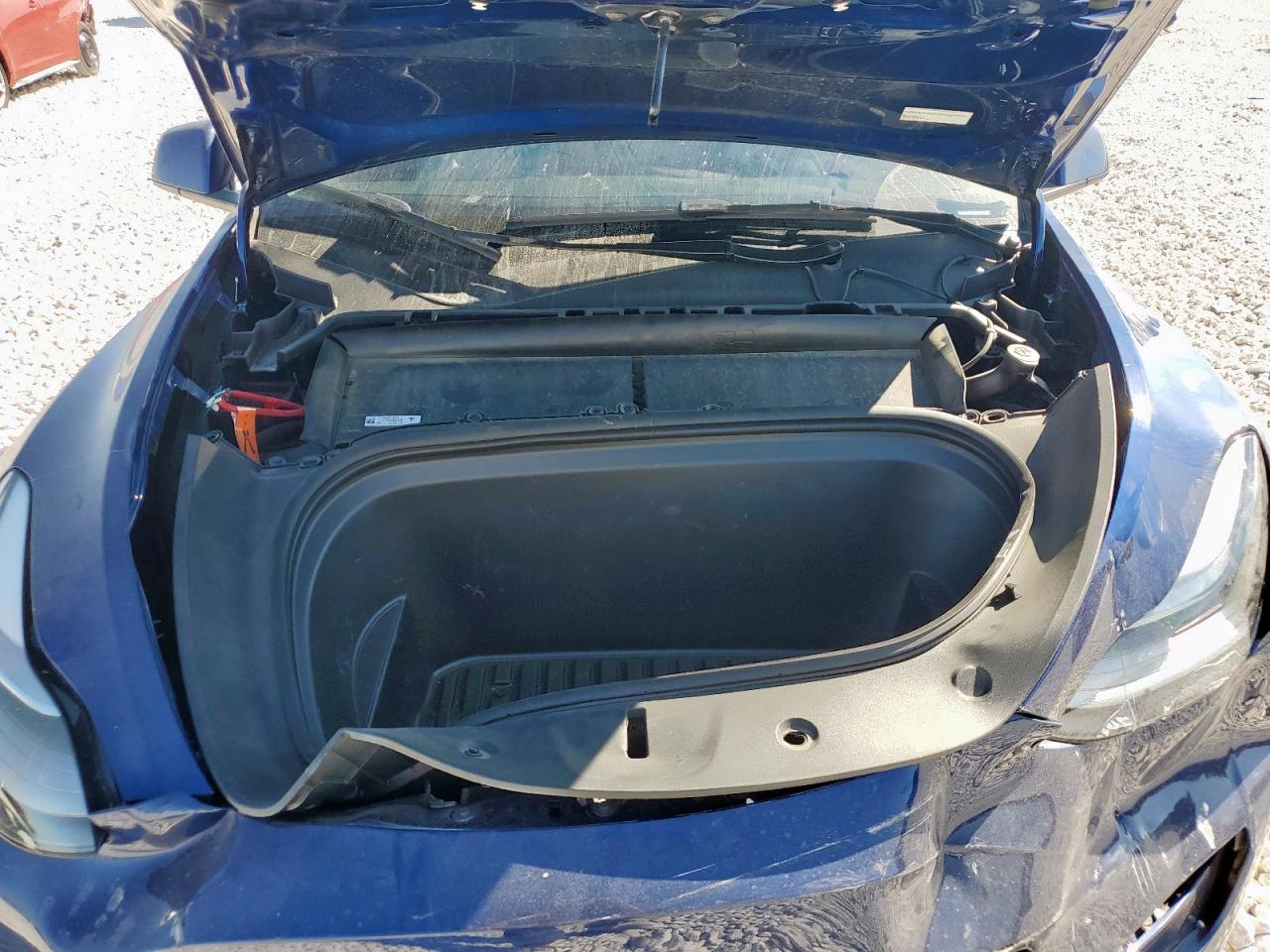 2024 Tesla Model Y VIN: 7SAYGDEE0RA217265 Lot: 81842945