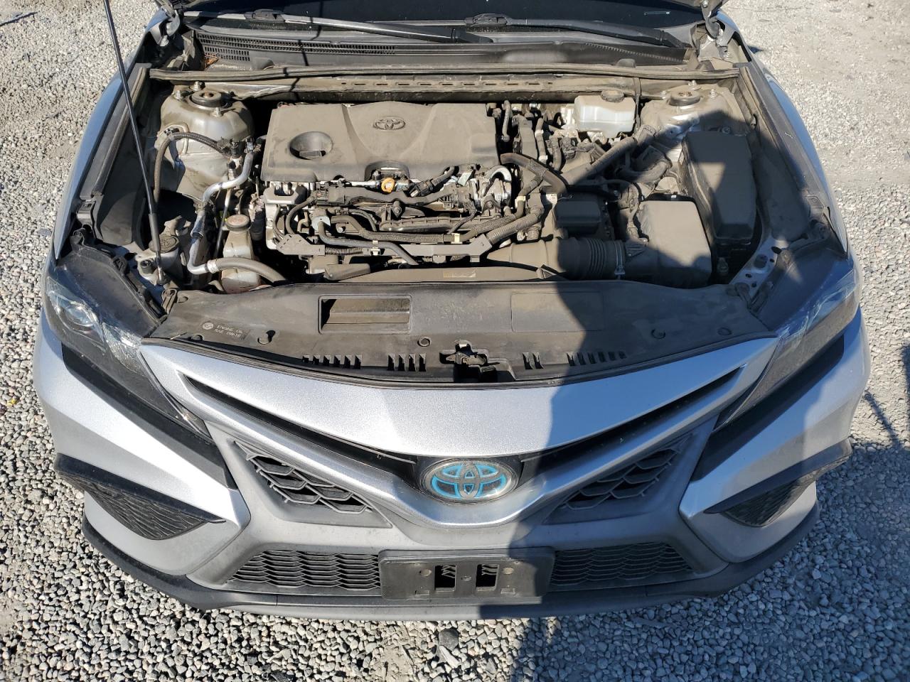 2021 Toyota Camry Se VIN: 4T1G31AK7MU556263 Lot: 84229075