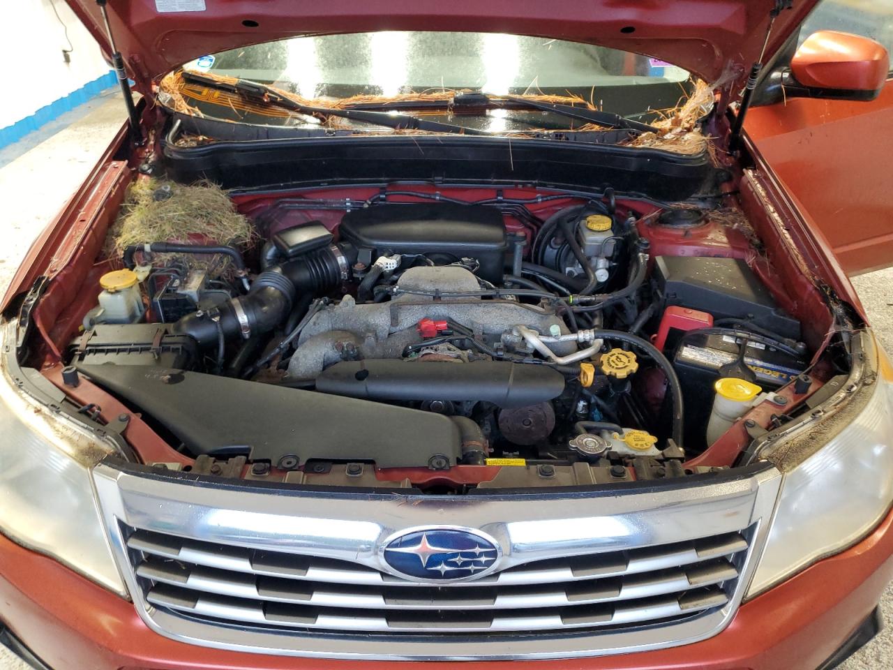 2010 Subaru Forester 2.5X Premium VIN: JF2SH6CCXAH762637 Lot: 83765175