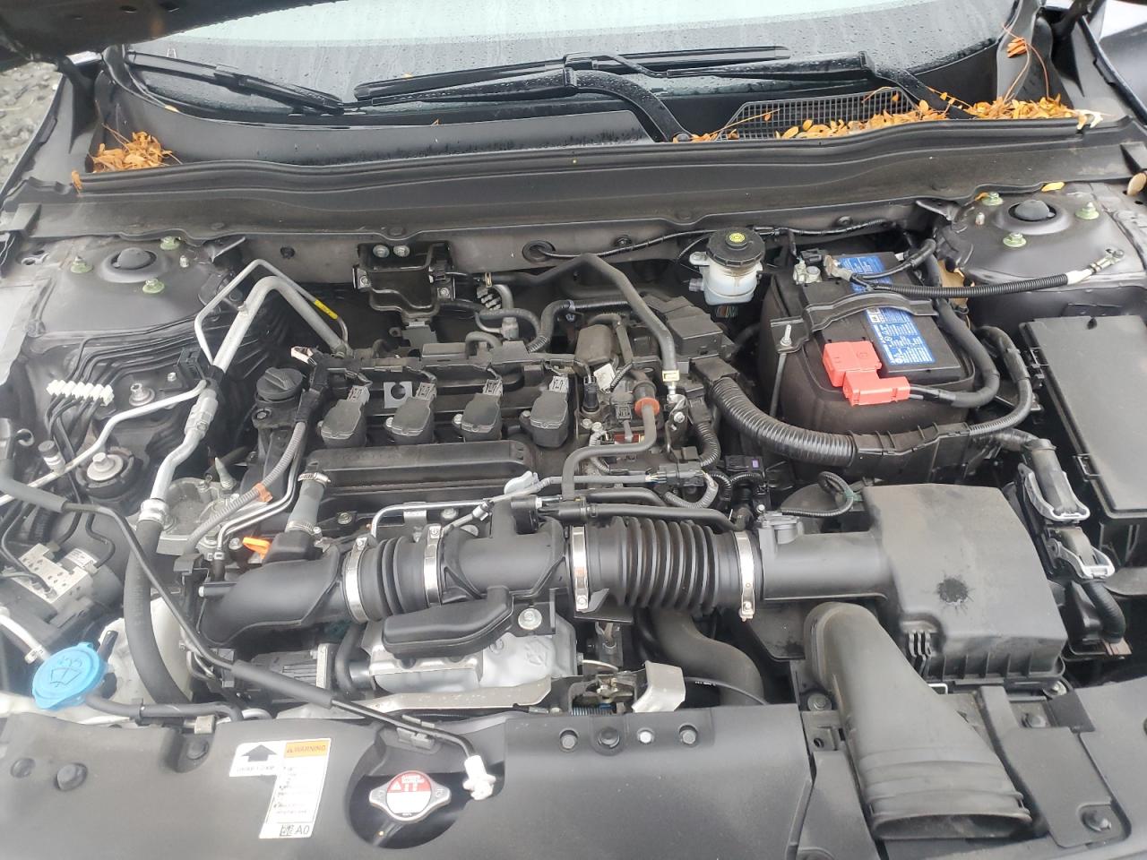 2021 Honda Accord Exl VIN: 1HGCV1F56MA012422 Lot: 81452575