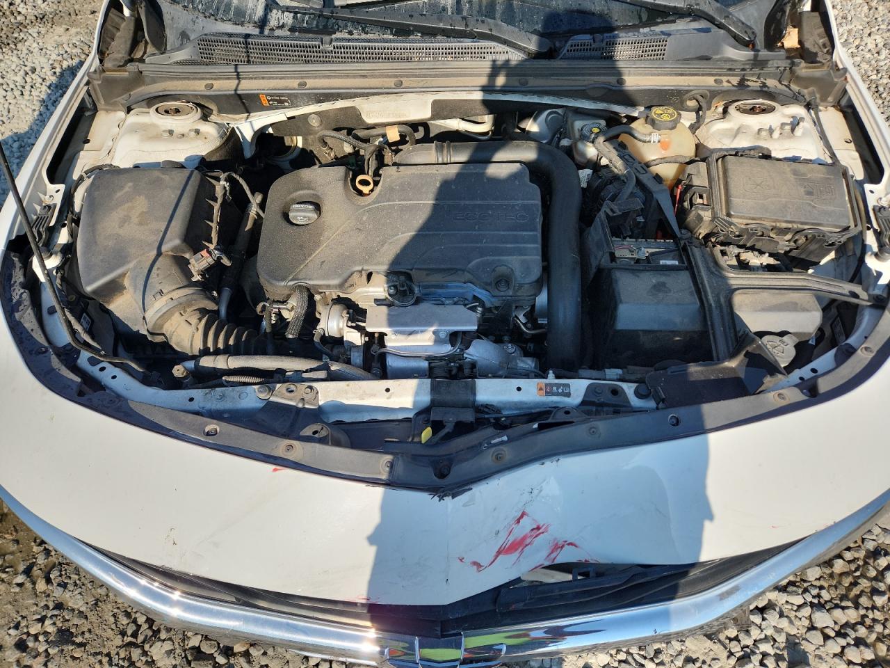 2019 Chevrolet Malibu Lt VIN: 1G1ZD5ST1KF175298 Lot: 71201525