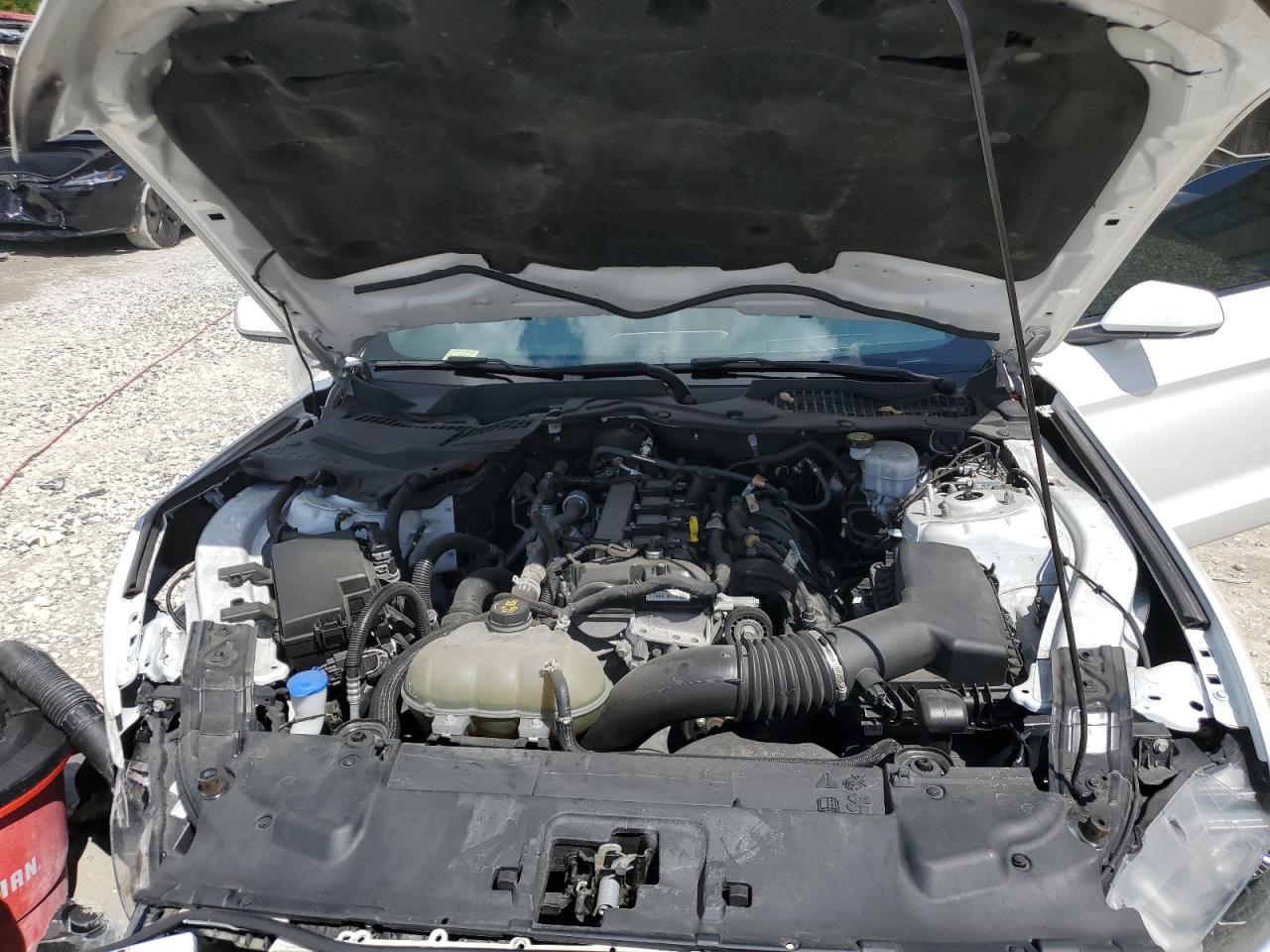 2022 Ford Mustang VIN: 1FA6P8TH9N5101978 Lot: 80053555