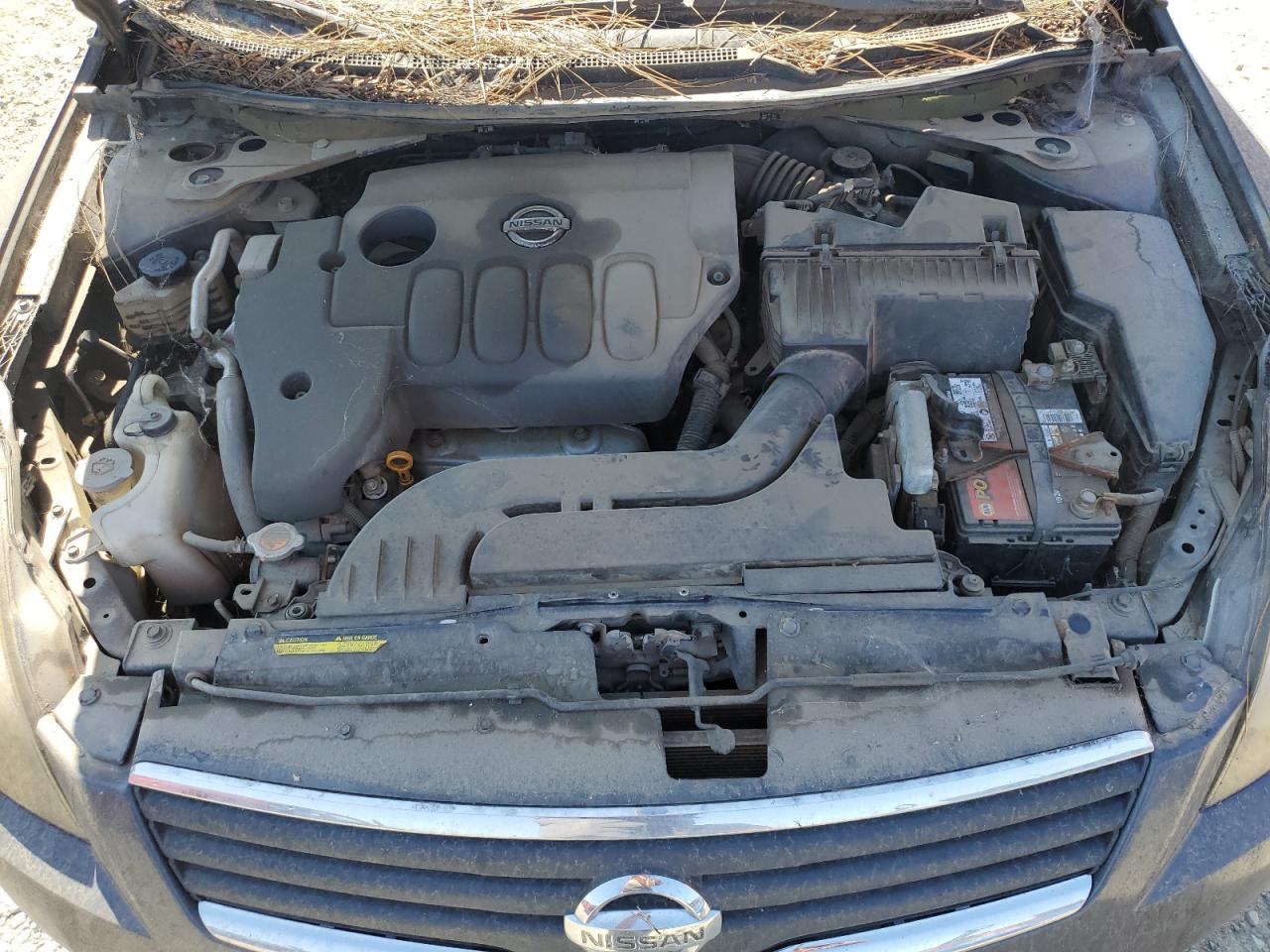 2007 Nissan Altima 2.5 VIN: 1N4AL21E17N463155 Lot: 82173265