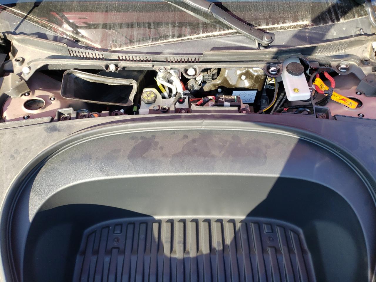 2025 Tesla Model 3 VIN: 5YJ3E1EB0SF894648 Lot: 83828025