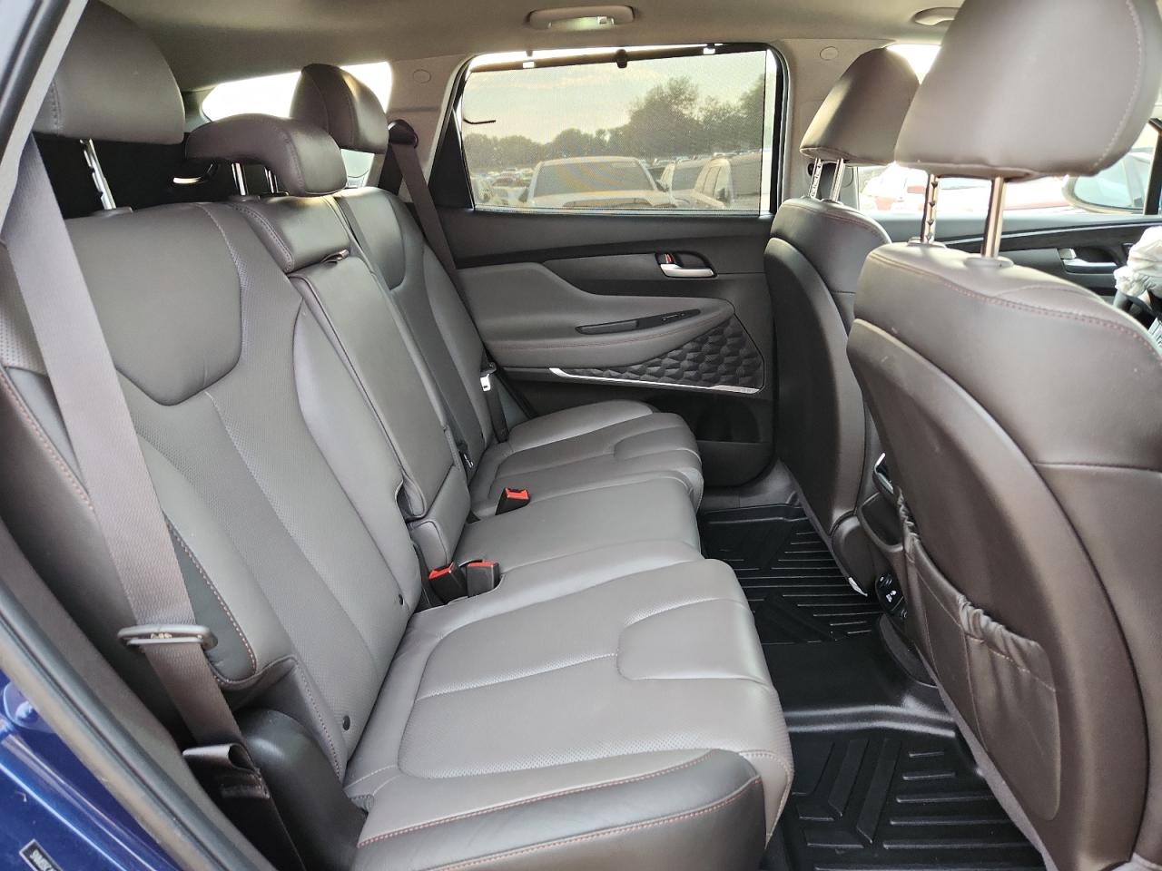 2020 Hyundai Santa Fe Limited VIN: 5NMS5CAD4LH281916 Lot: 81650855