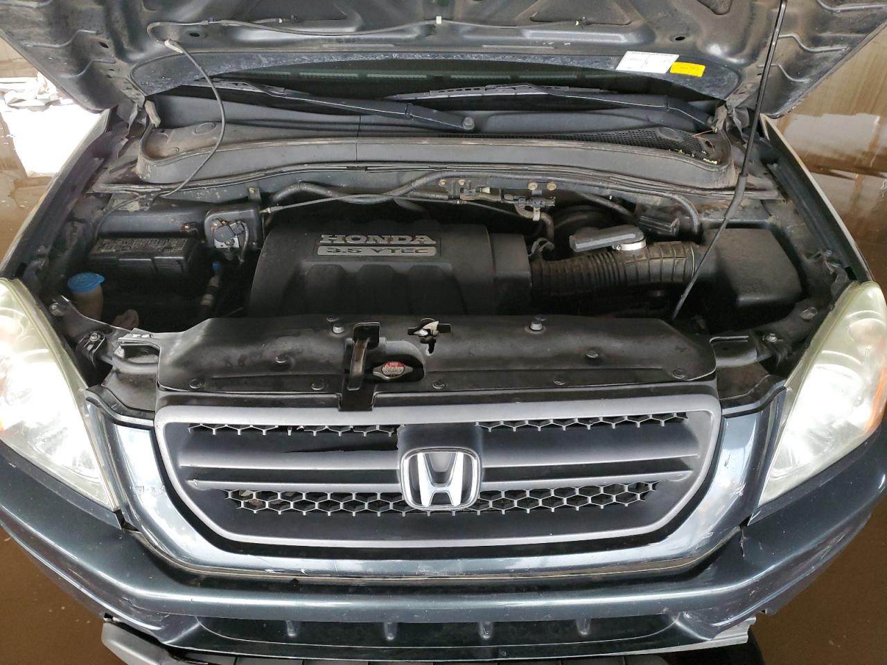 2005 Honda Pilot Exl VIN: 2HKYF18555H512080 Lot: 81847085