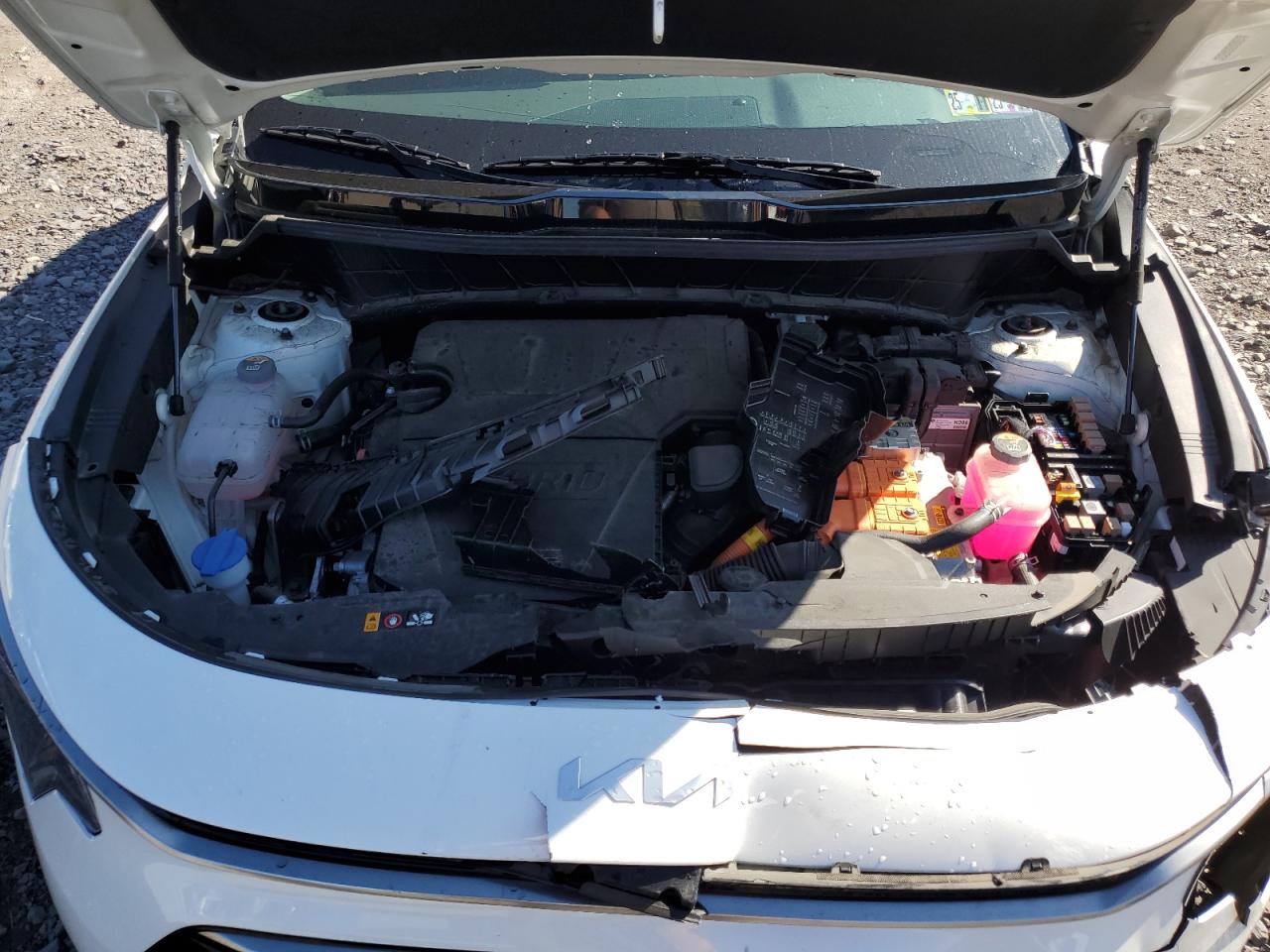 2023 Kia Niro Ex VIN: KNDCR3LE7P5044313 Lot: 81248115