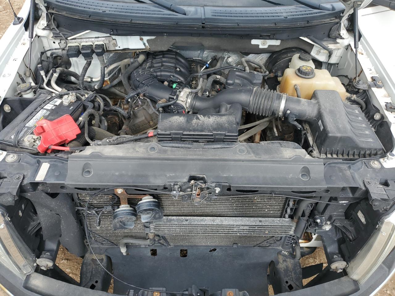 2013 Ford F150 VIN: 1FTMF1CM7DKD22584 Lot: 81708305