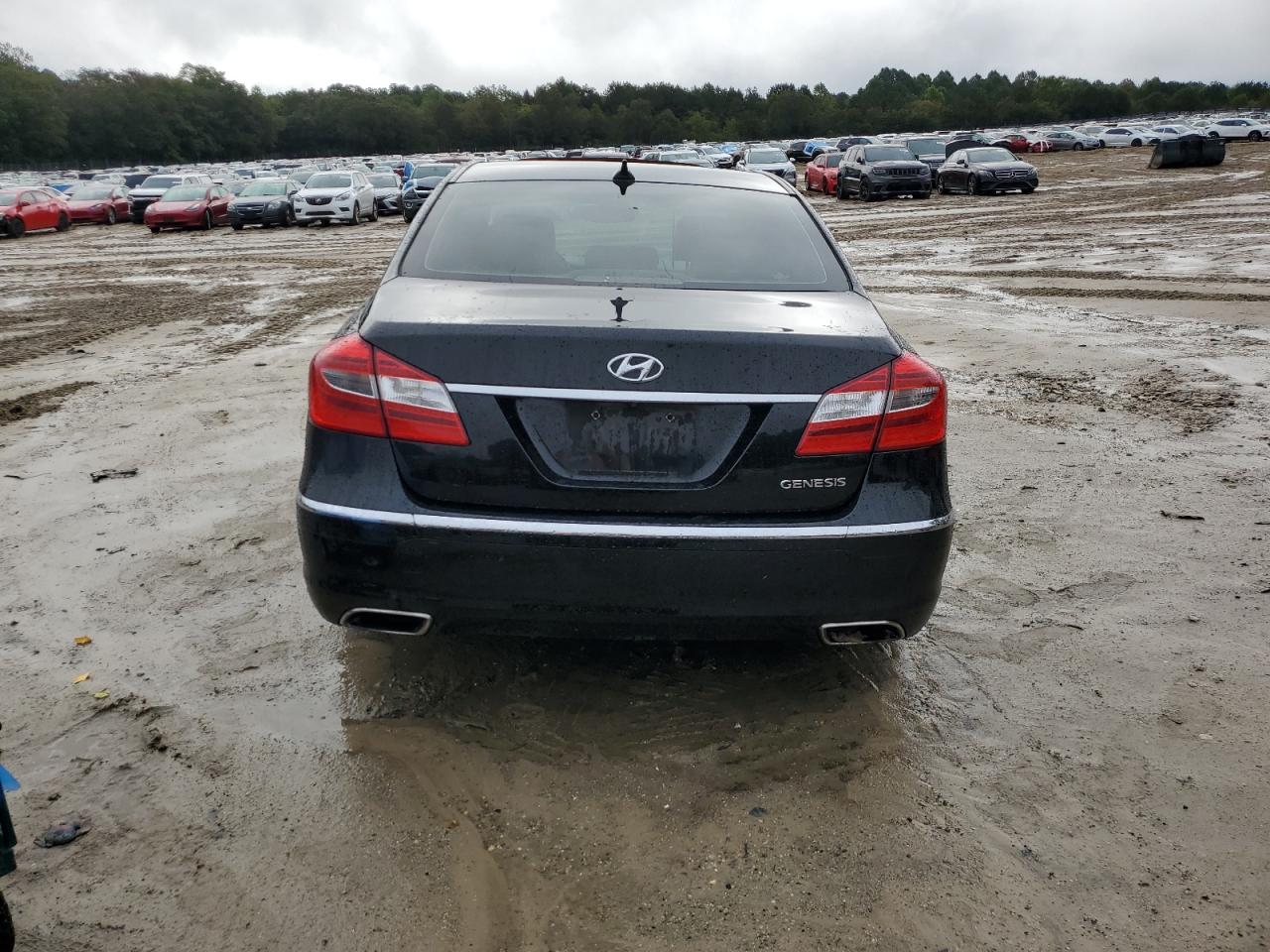 2013 Hyundai Genesis 3.8L VIN: KMHGC4DD6DU224362 Lot: 81024535