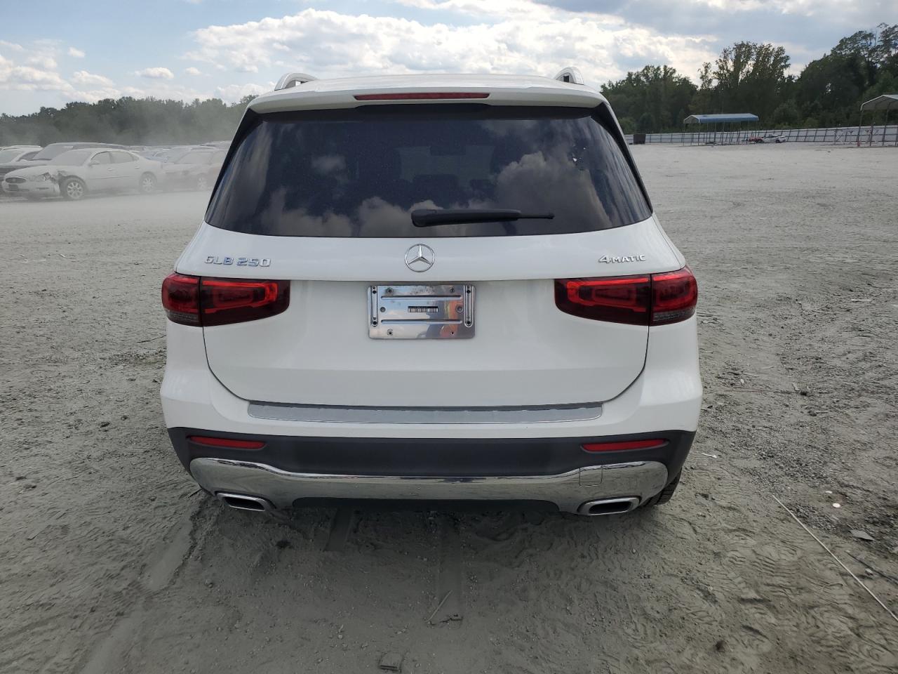 2020 Mercedes-Benz Glb 250 4Matic VIN: WDC4M4HB3LW007314 Lot: 71177985