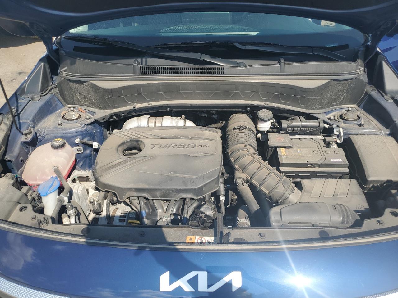 2023 Kia Seltos Sx VIN: KNDETCA26P7387279 Lot: 80052985
