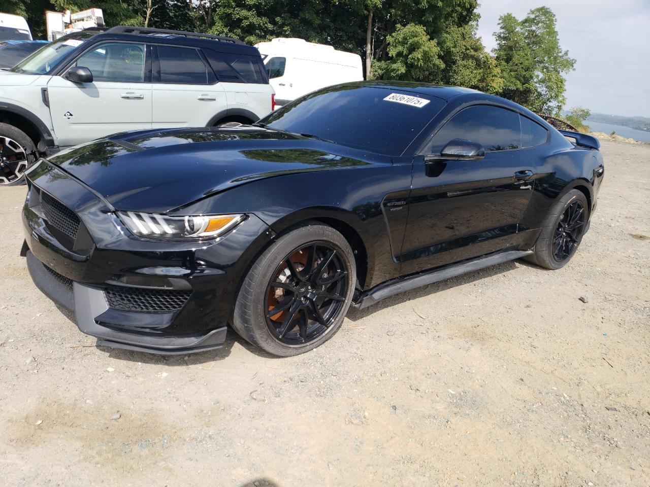 2019 Ford Mustang Shelby Gt350