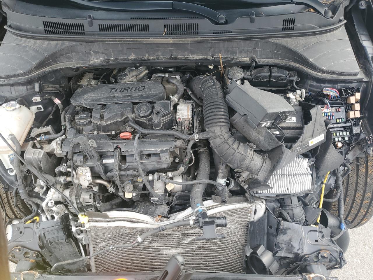 2022 Hyundai Kona N Line VIN: KM8K33A37NU830562 Lot: 81673825