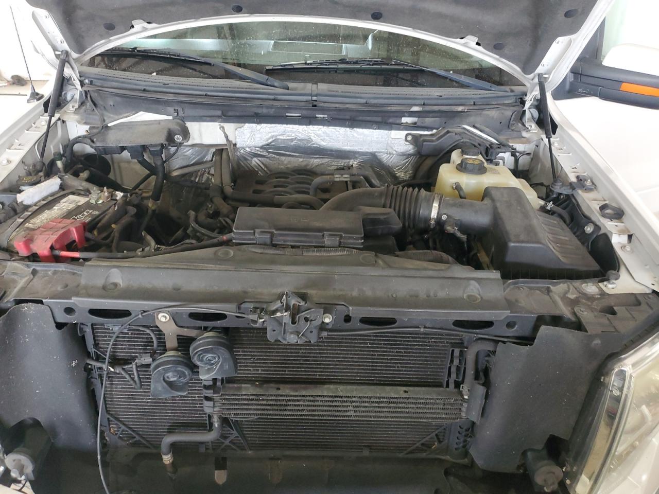 2011 Ford F-150 VIN: 1FTFW1EF3BFC19000 Lot: 82047295