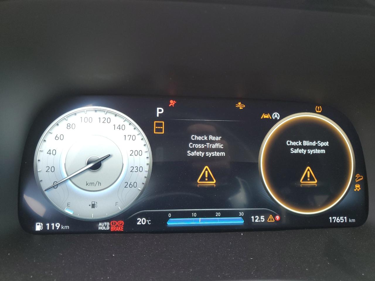 2025 Hyundai Palisade Xrt VIN: KM8R3DGE2SU831160 Lot: 80966065