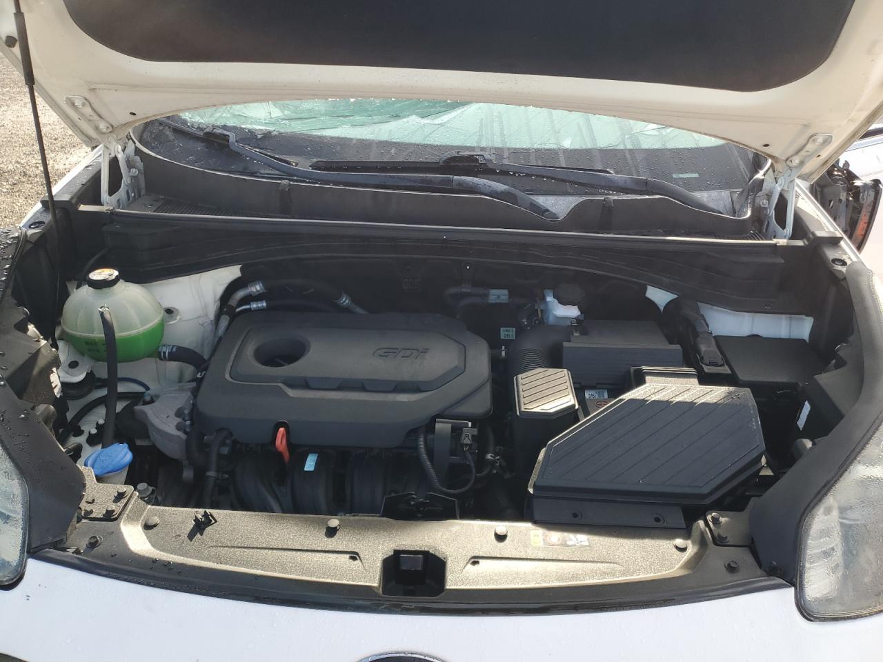 2019 Kia Sportage Lx VIN: KNDPM3AC2K7624244 Lot: 80784695