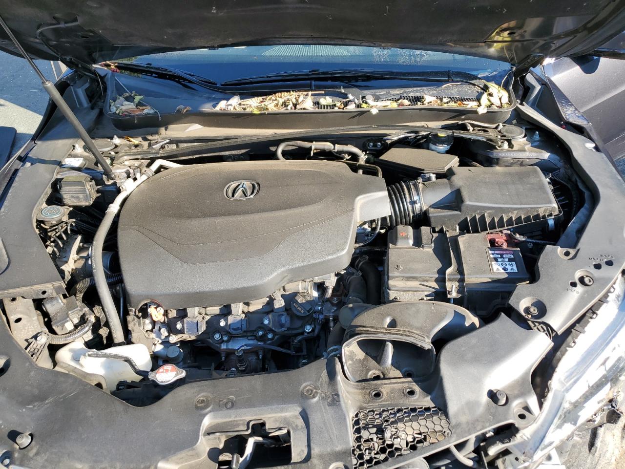 2015 Acura Tlx Tech VIN: 19UUB3F5XFA002245 Lot: 81685915