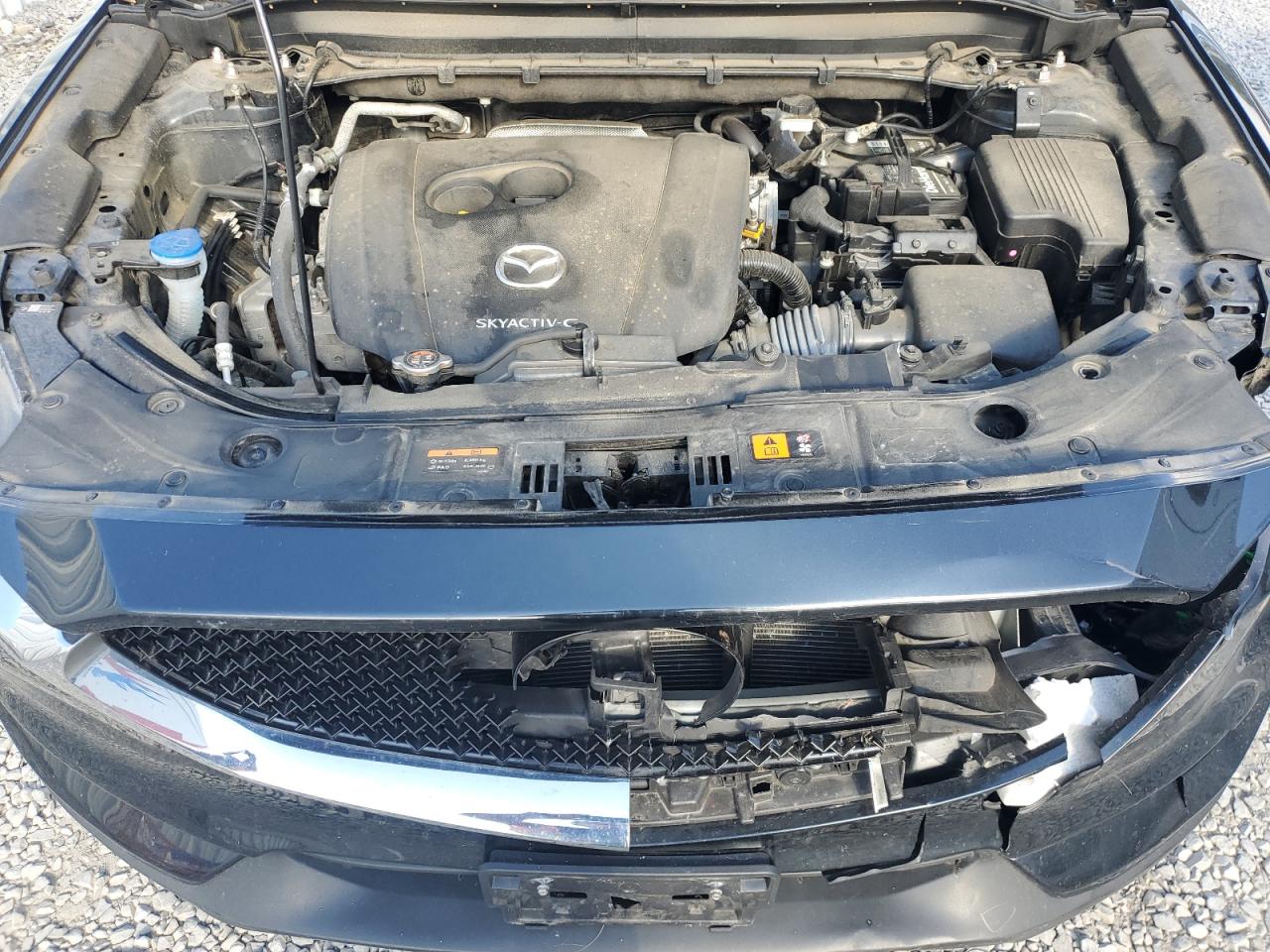 2021 Mazda Cx-5 Touring VIN: JM3KFBCM0M0443554 Lot: 81379025