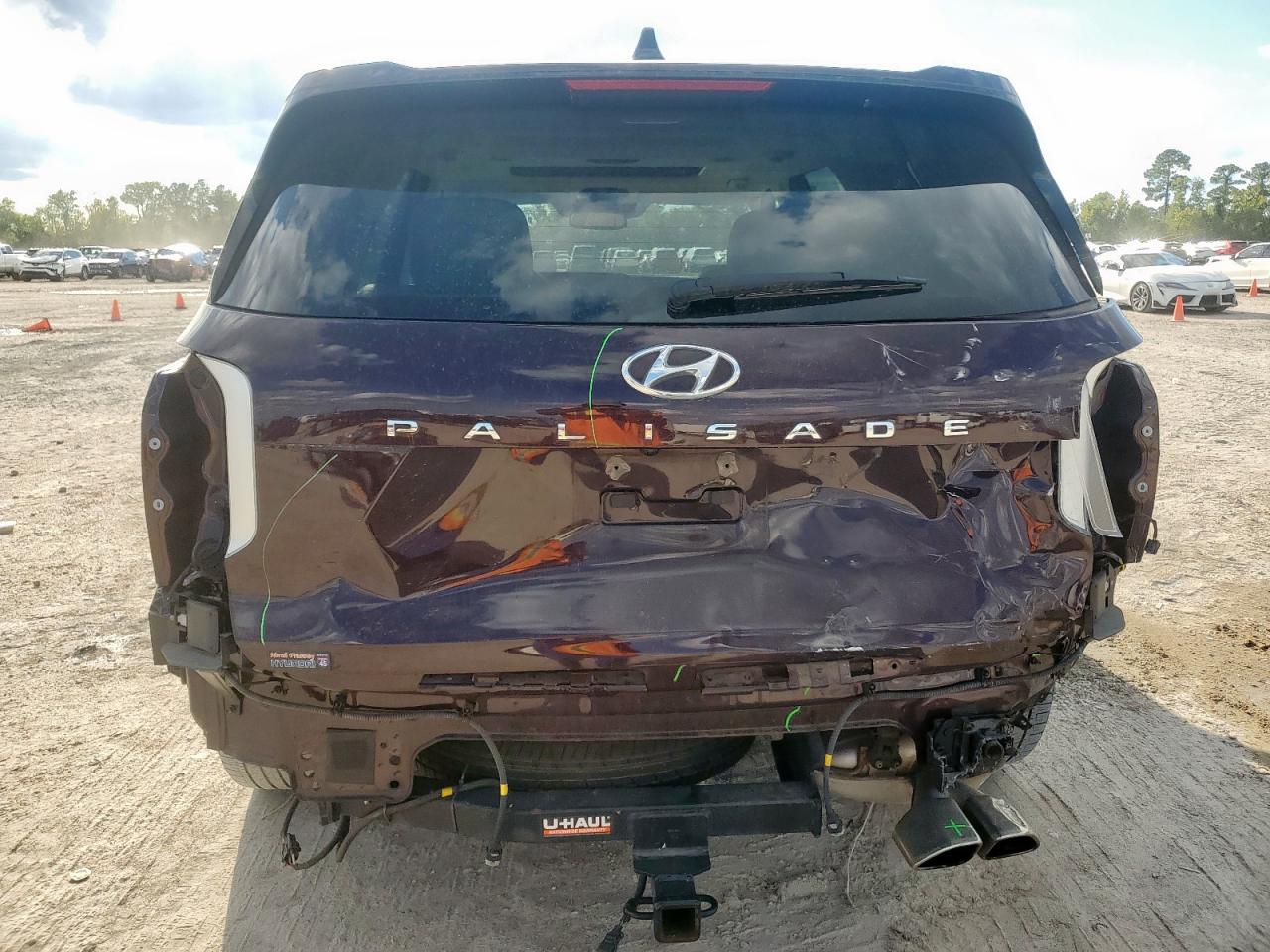 2020 Hyundai Palisade Limited VIN: KM8R54HE5LU166877 Lot: 83815595