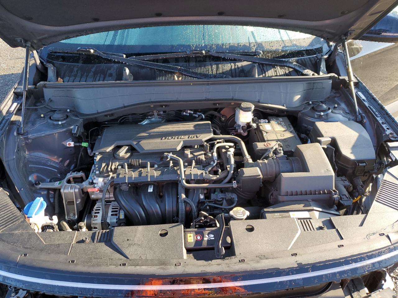 2024 Hyundai Kona Sel VIN: KM8HBCABXRU071447 Lot: 84022135