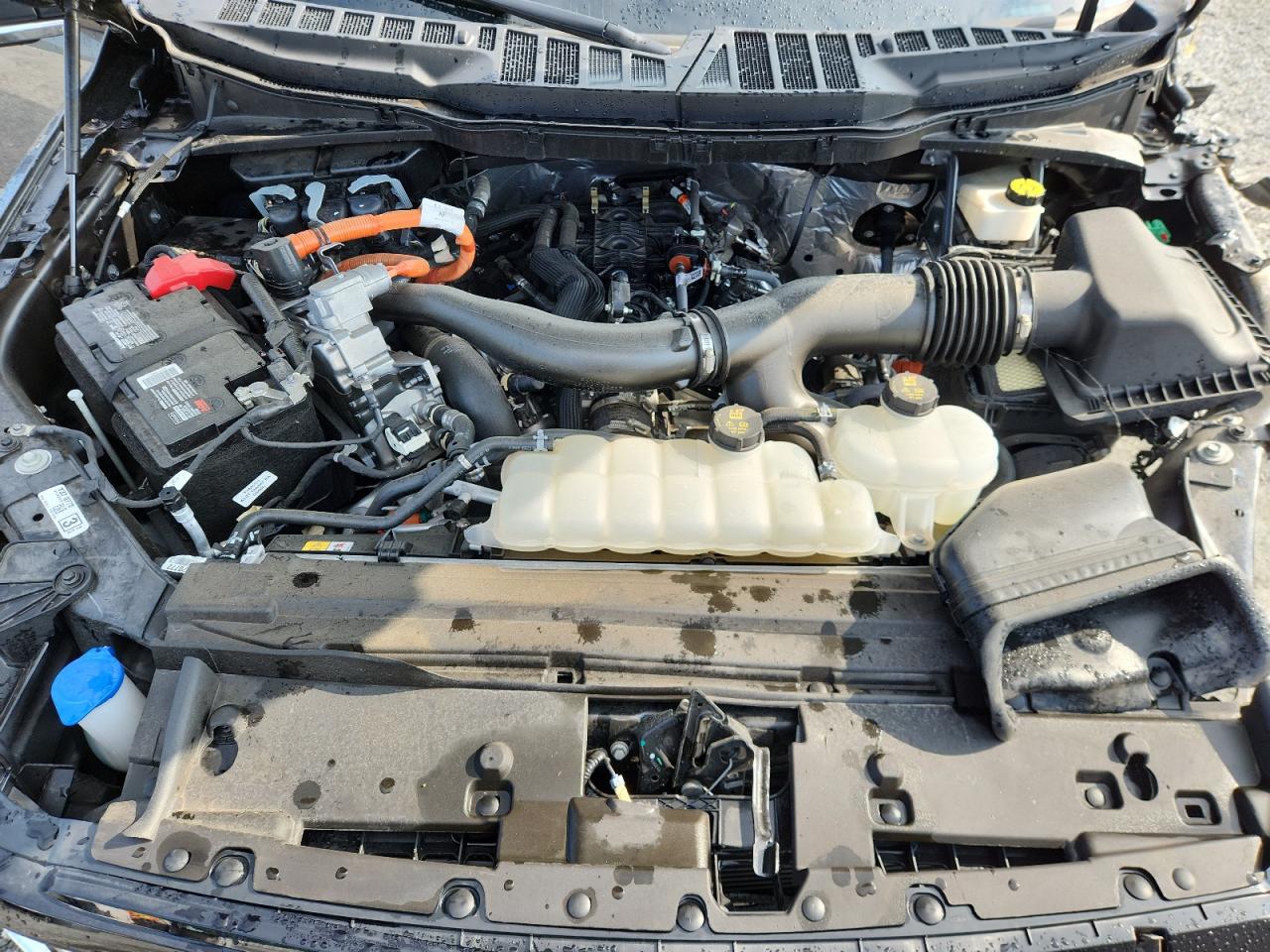 2024 Ford F150 Xlt VIN: 1FTFW3LDXRFA96318 Lot: 71700625