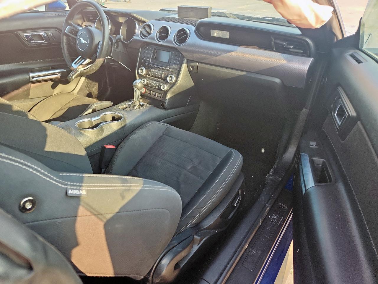 2017 Ford Mustang VIN: 1FA6P8TH5H5255673 Lot: 81442305