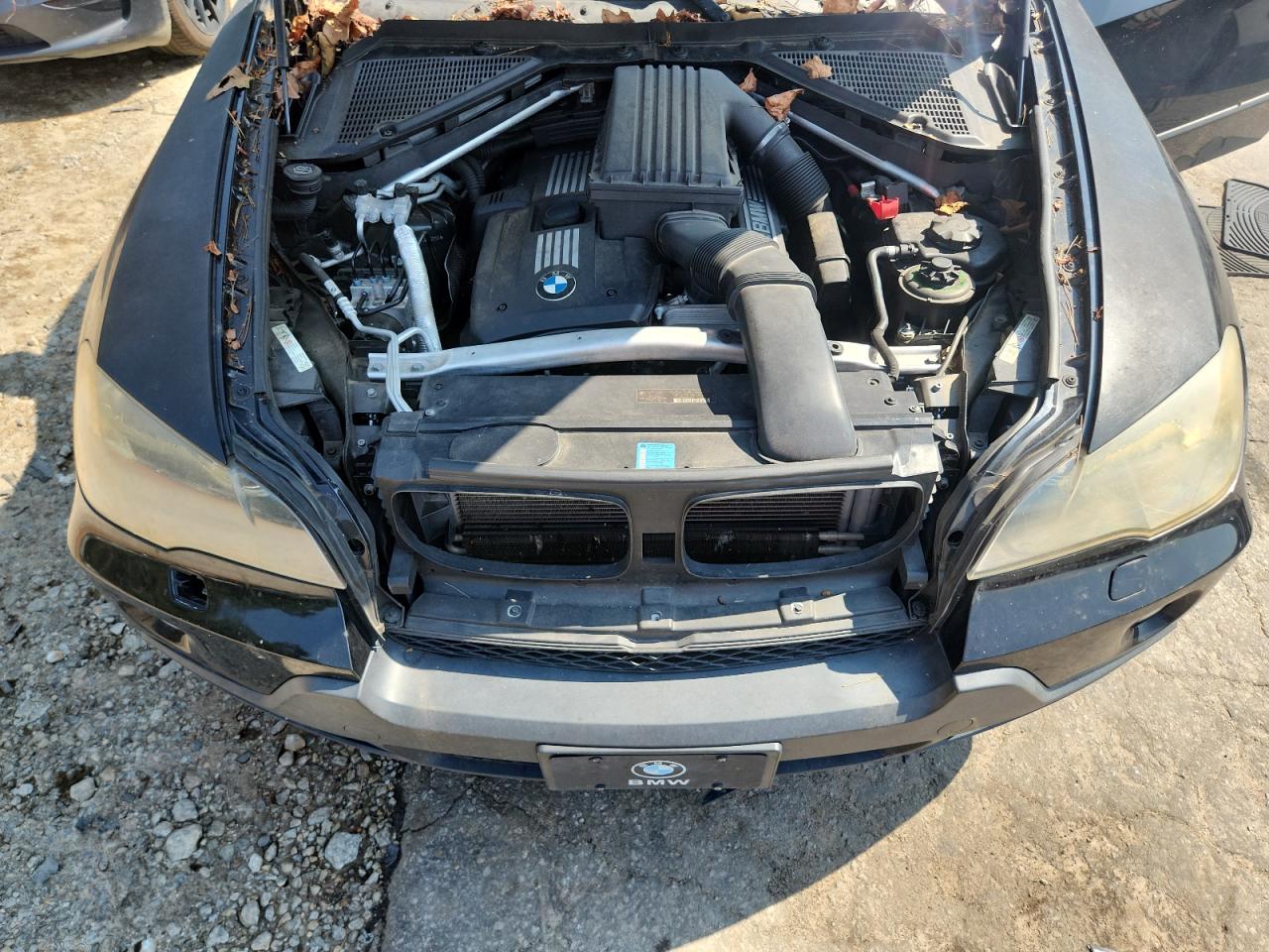 2009 BMW X5 xDrive30I VIN: 5UXFE43549L270174 Lot: 81261755