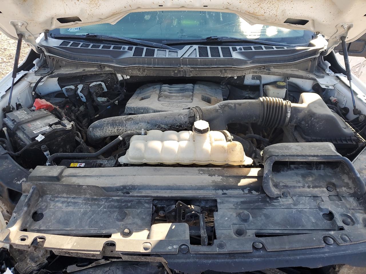 2022 Ford F150 Super Cab VIN: 1FTFX1E85NKE05311 Lot: 81008425