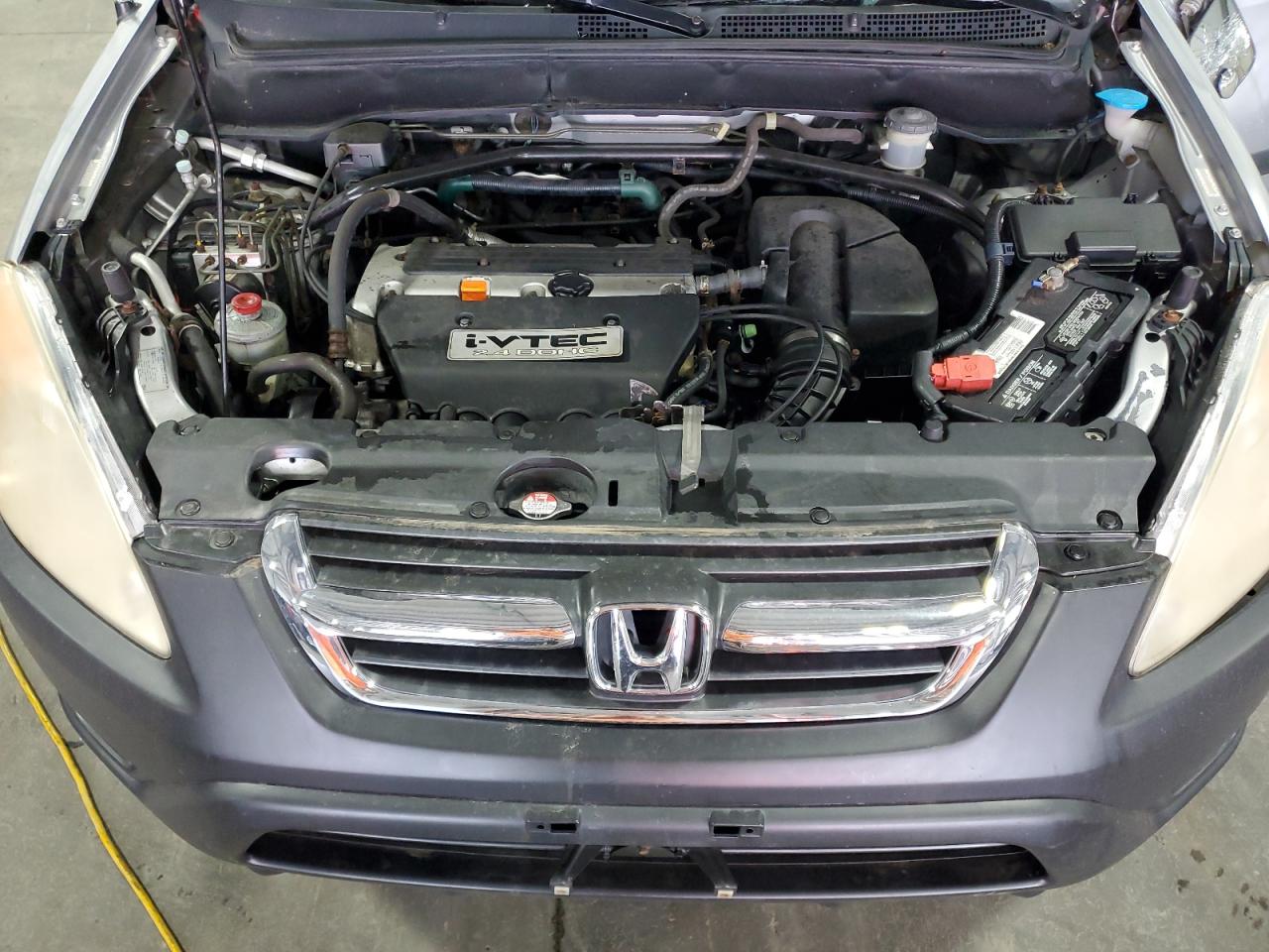 2004 Honda Cr-V Ex VIN: JHLRD78884C051056 Lot: 81298545