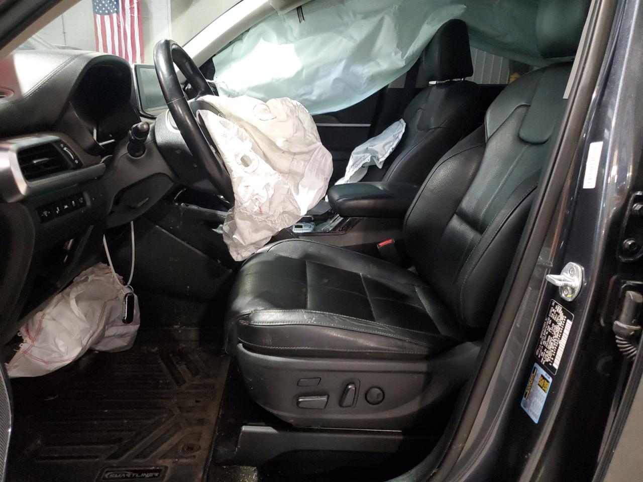 2020 Kia Telluride Sx VIN: 5XYP5DHC3LG023499 Lot: 80017485