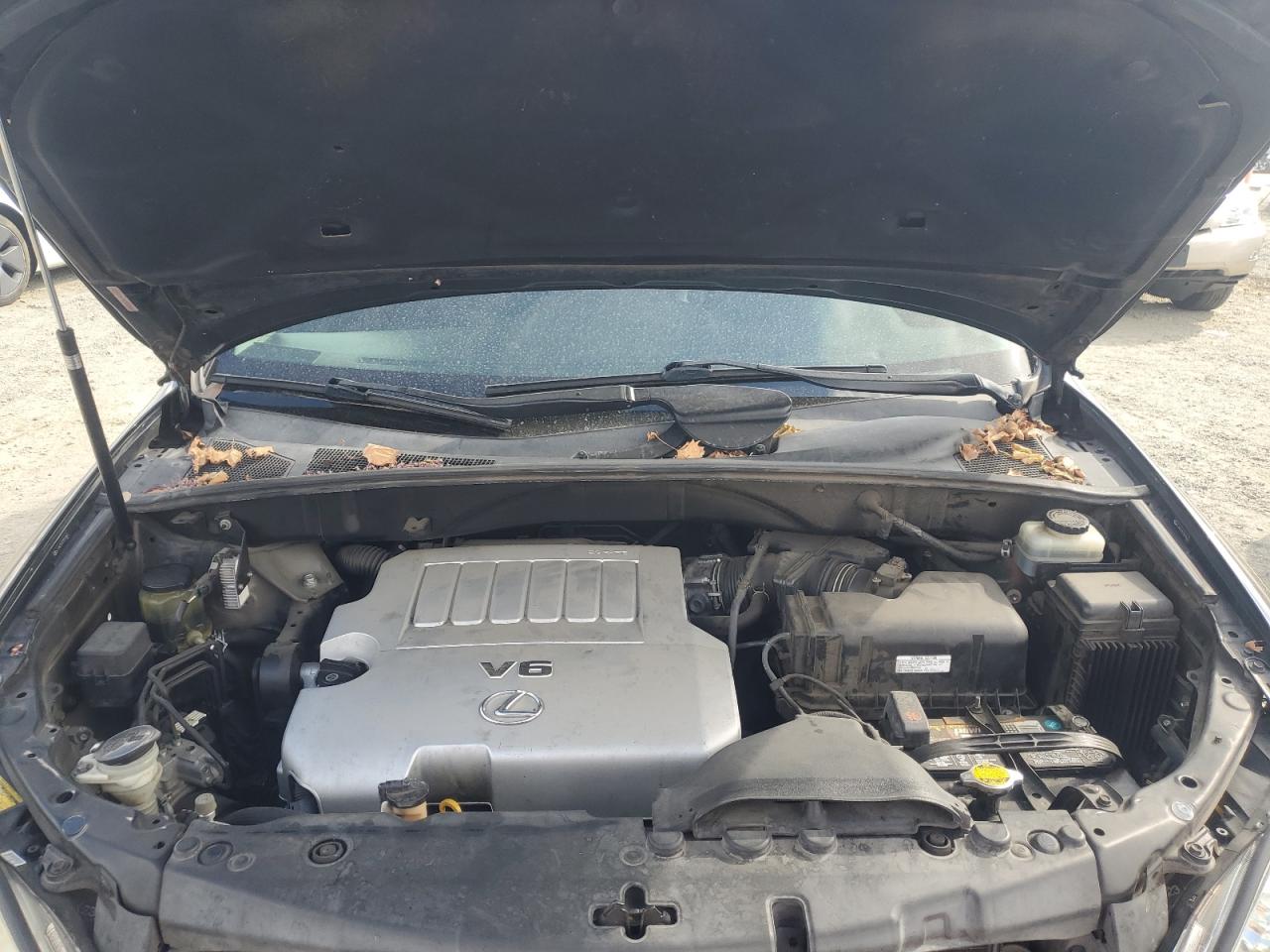2007 Lexus Rx 350 VIN: JTJHK31U572019641 Lot: 80209405