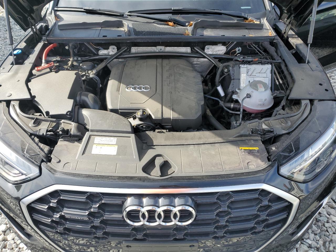 2023 Audi Q5 Premium Plus 45 VIN: WA1EAAFY9P2060180 Lot: 70652425