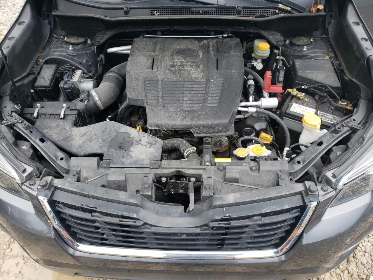 2020 Subaru Forester Limited VIN: JF2SKAUC4LH599764 Lot: 83855635