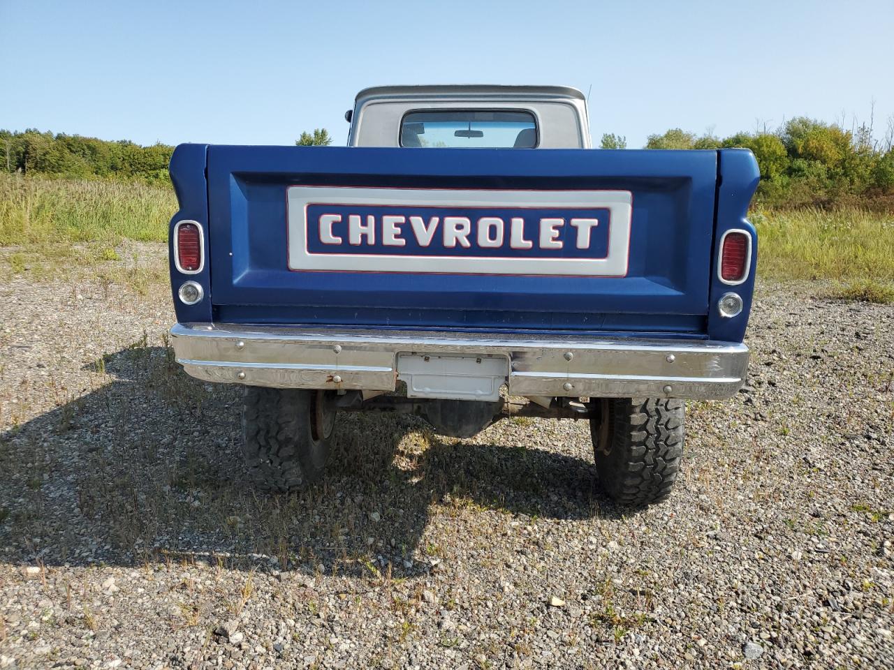 1966 Chevrolet C20 VIN: C3646T133335 Lot: 70862845