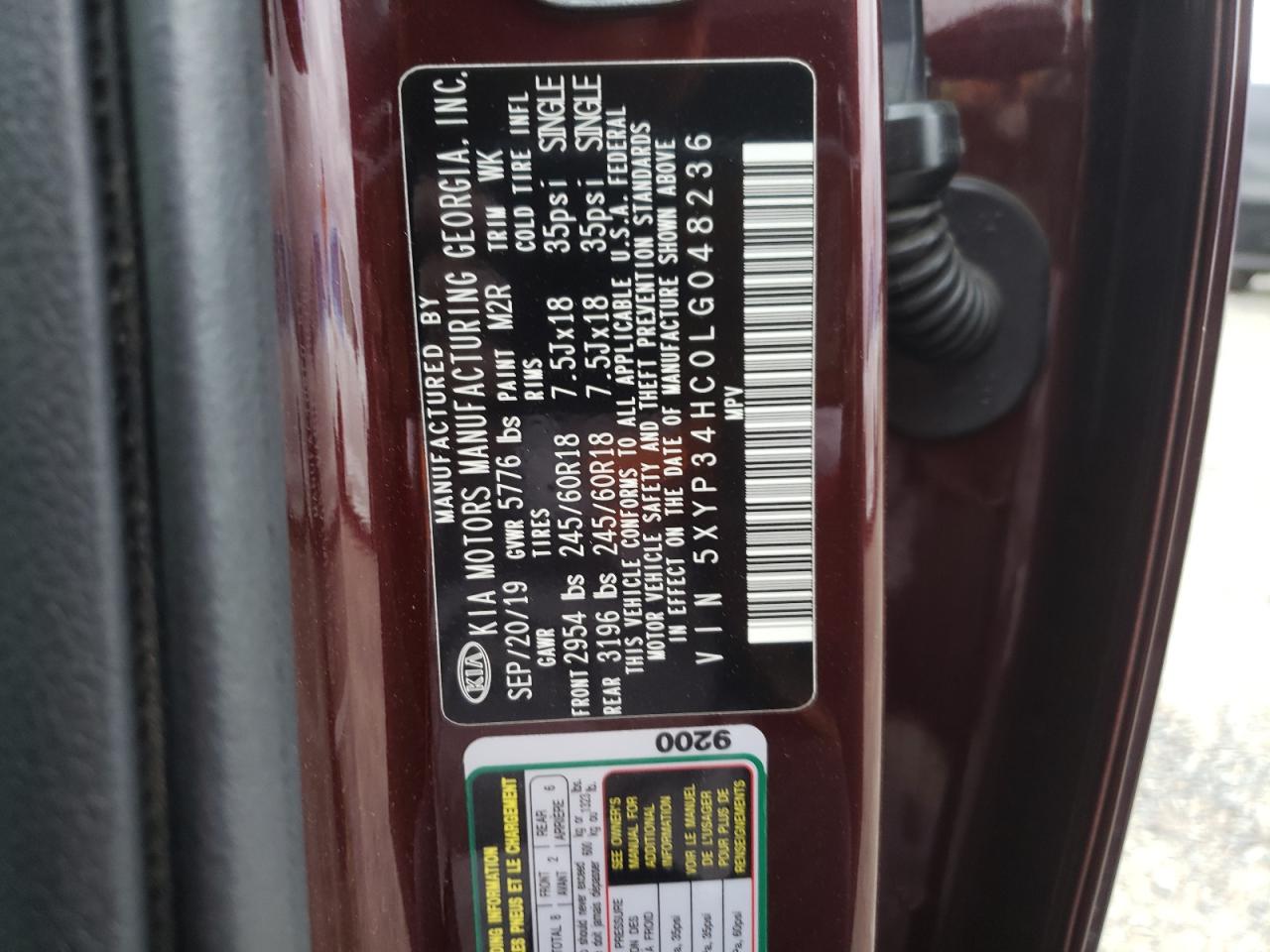 2020 Kia Telluride Ex VIN: 5XYP34HC0LG048236 Lot: 81868425