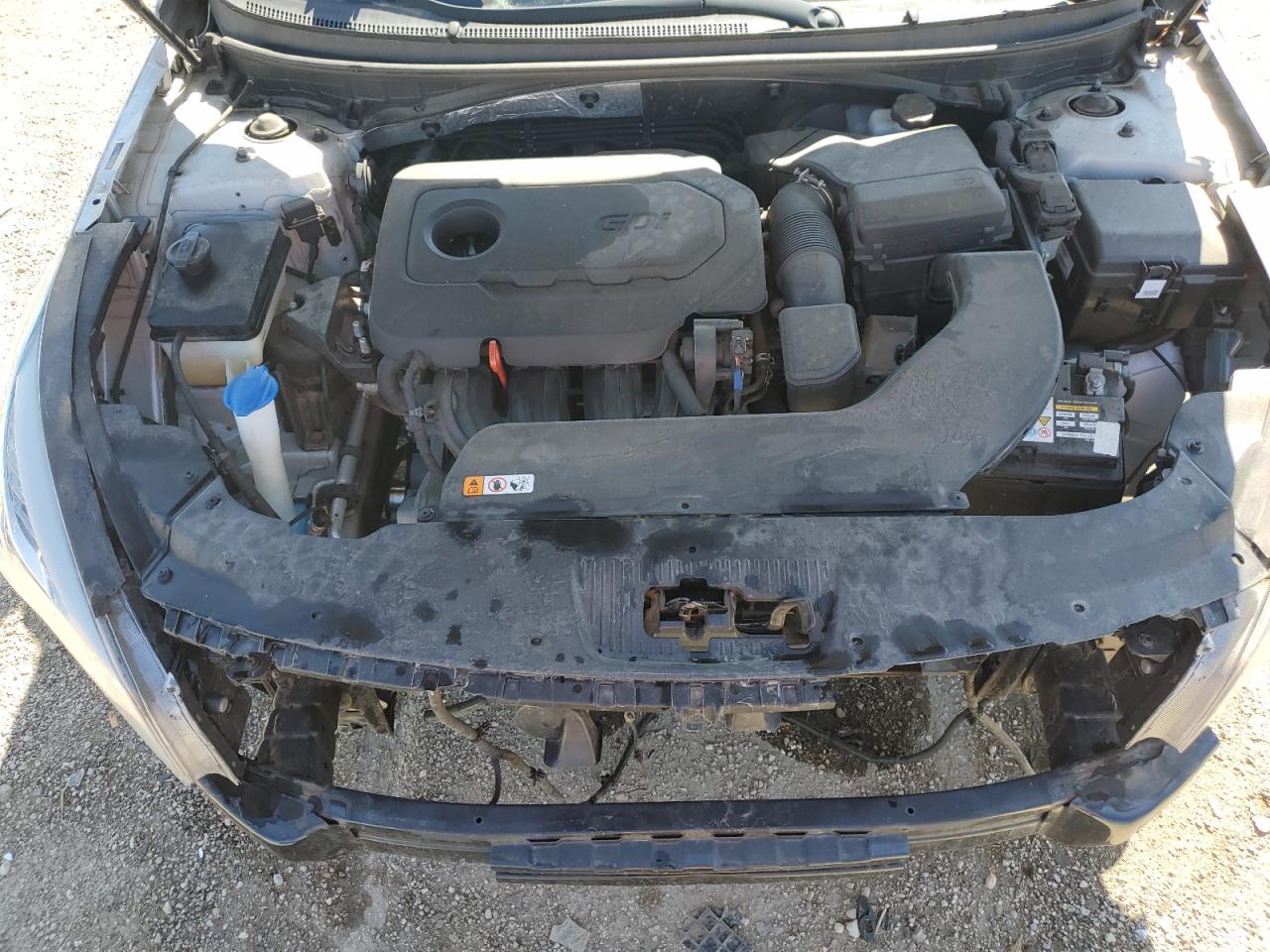 2017 Hyundai Sonata Se VIN: 5NPE24AF7HH443769 Lot: 80664195