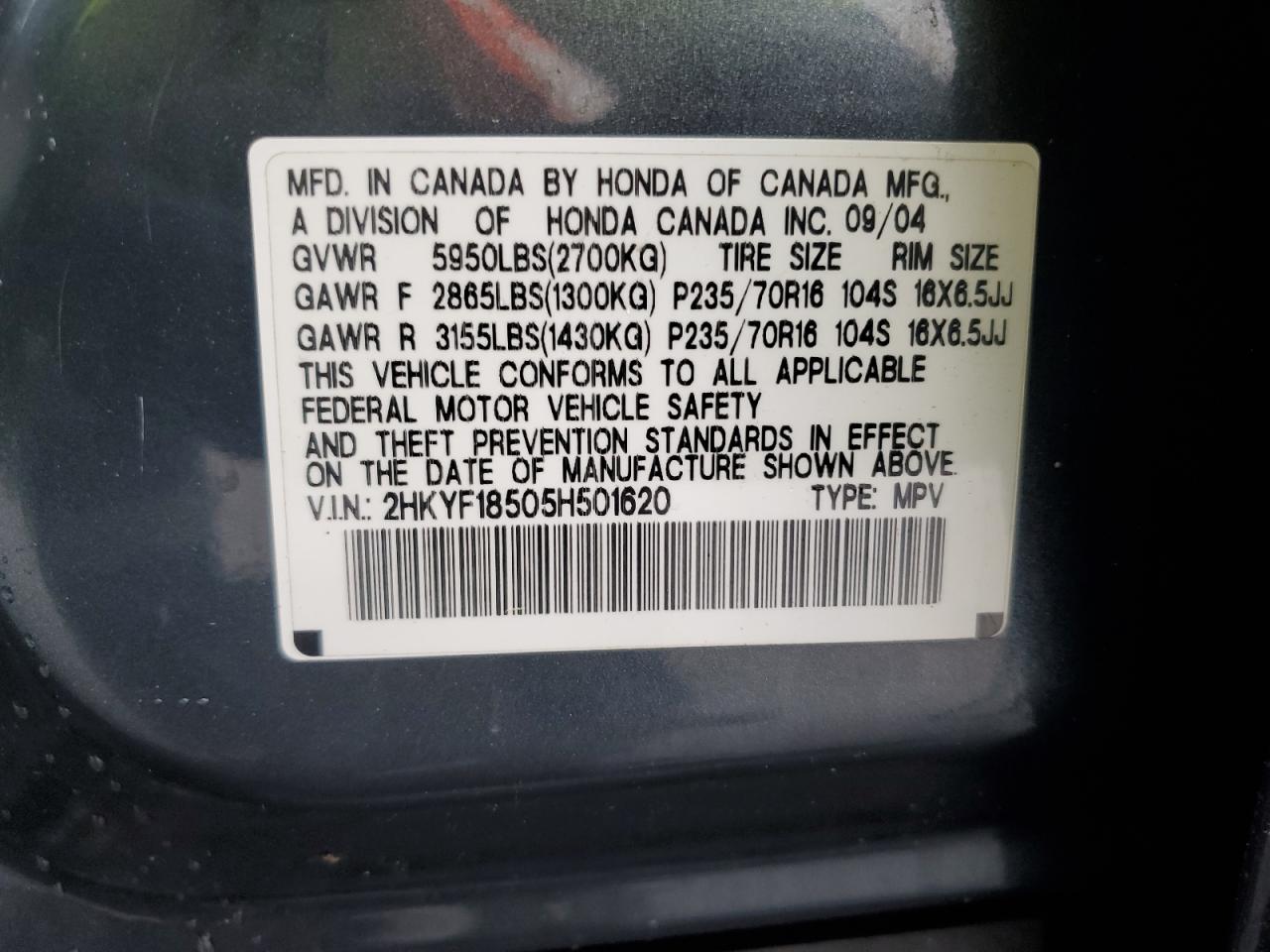2008 Honda Pilot Exl VIN: 2HKYF18505H501620 Lot: 83771285