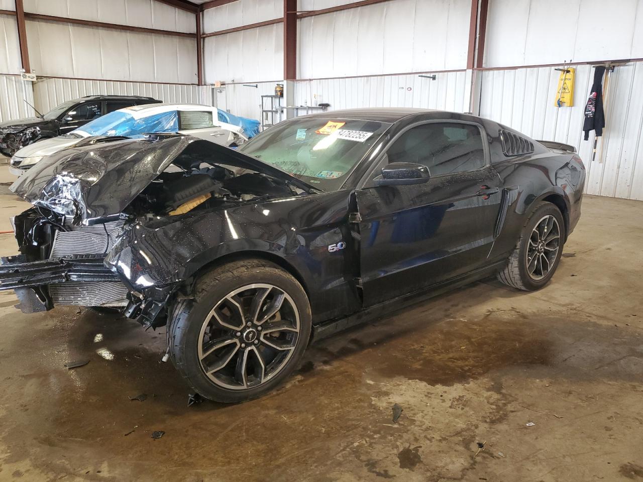 2013 Ford Mustang Gt VIN: 1ZVBP8CFXD5248667 Lot: 84782255