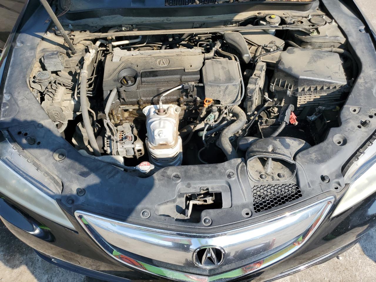 2017 Acura Tlx VIN: 19UUB1F31HA004651 Lot: 72053115