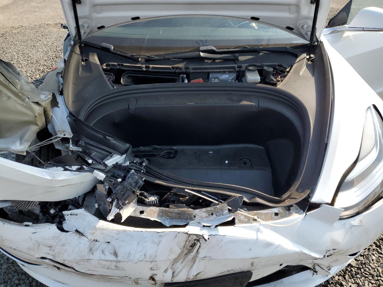 2019 Tesla Model 3 VIN: 5YJ3E1EB9KF452905 Lot: 81164205