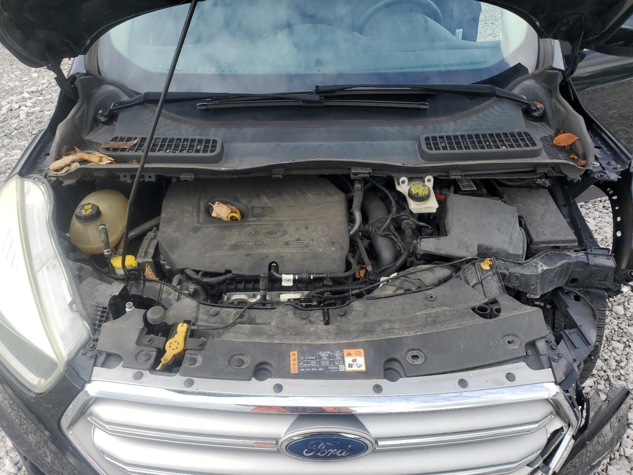 2017 Ford Escape Se VIN: 1FMCU0GD5HUA74881 Lot: 81770105