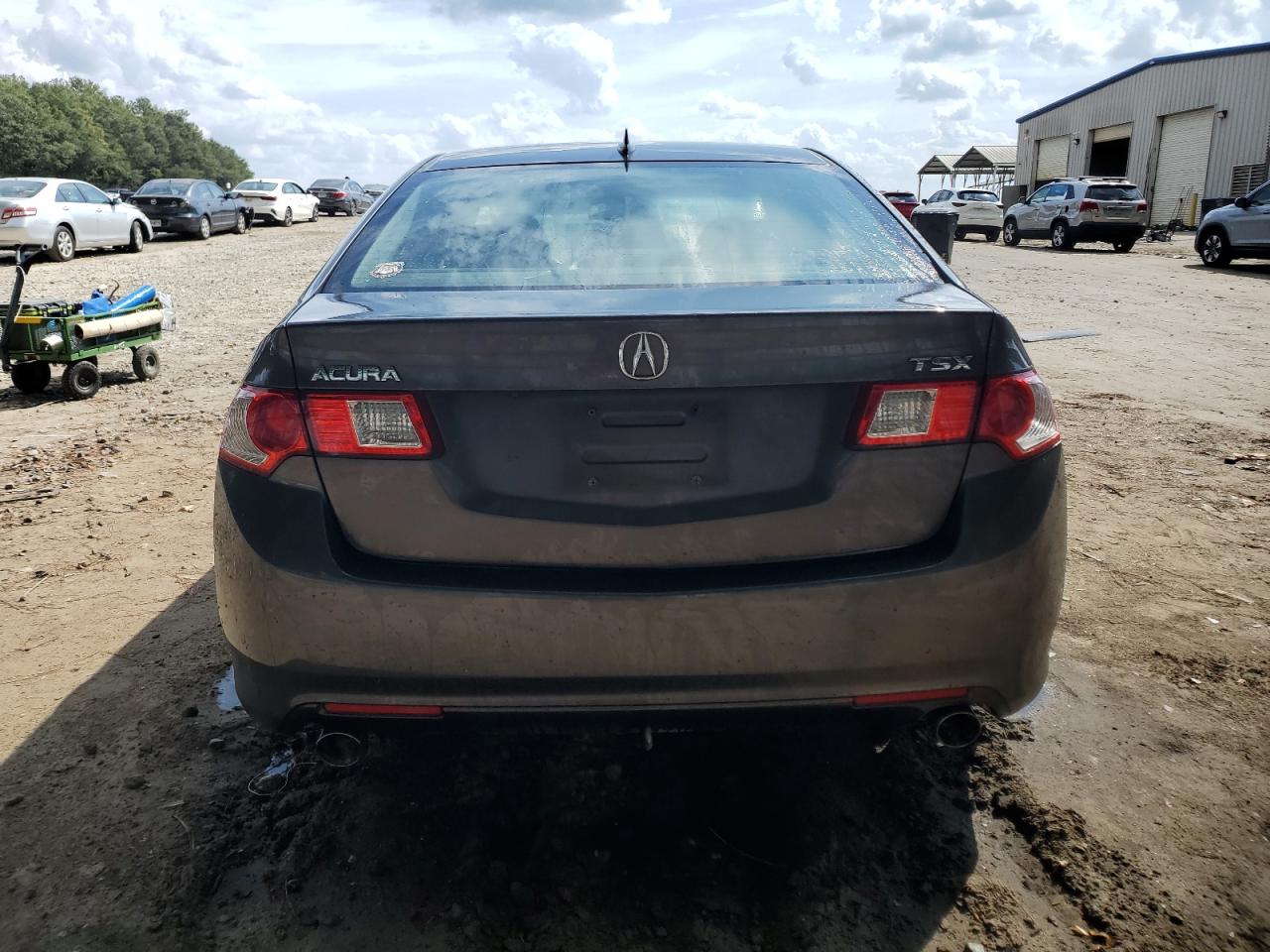 2010 Acura Tsx VIN: JH4CU2F6XAC041341 Lot: 81282675