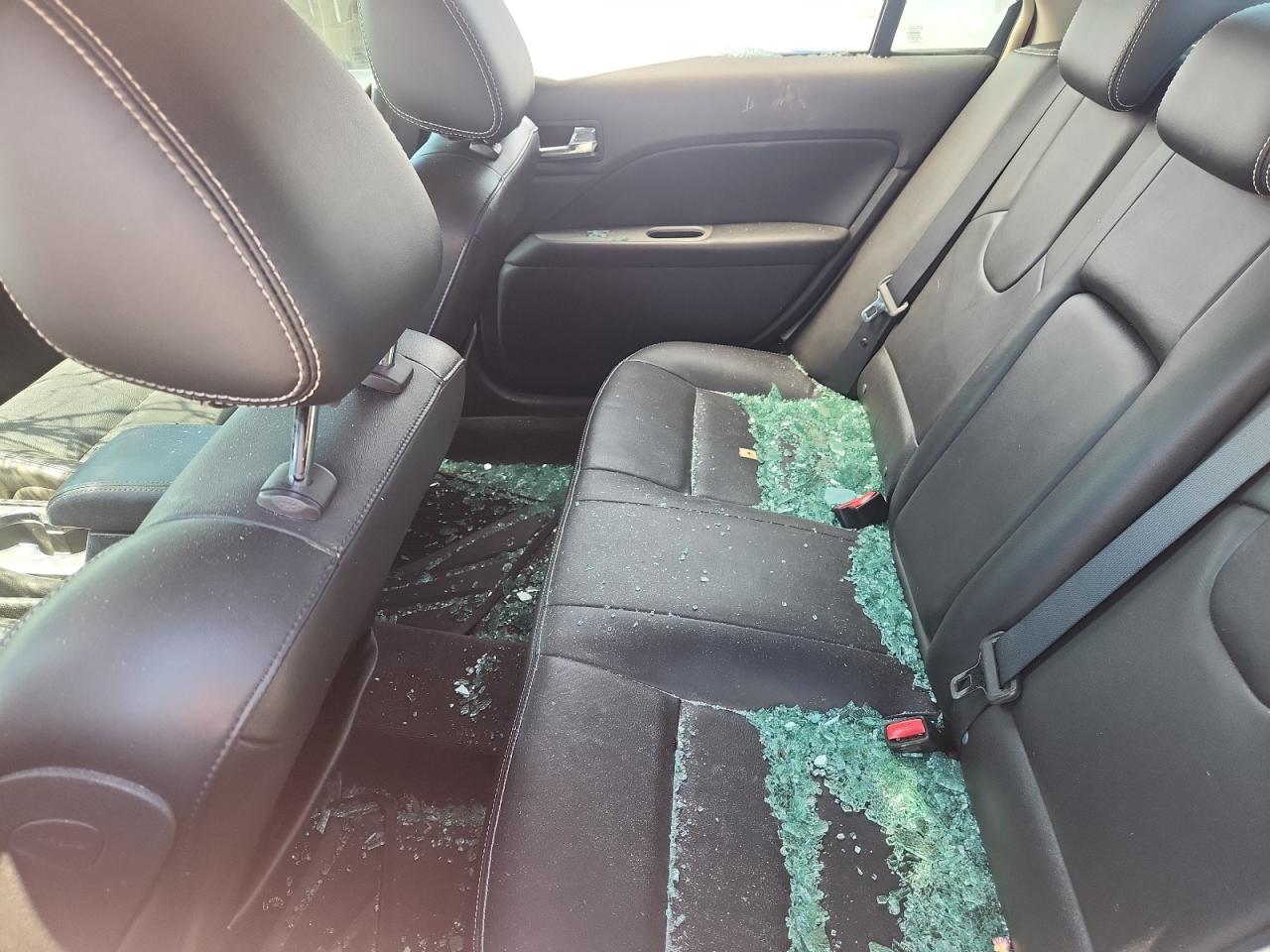 2010 Ford Fusion Sel VIN: 3FAHP0JG8AR284155 Lot: 81625215